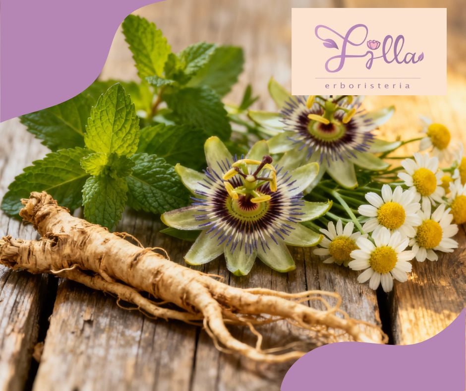 Rimedi naturali contro l’insonnia: l’efficacia delle piante calmanti